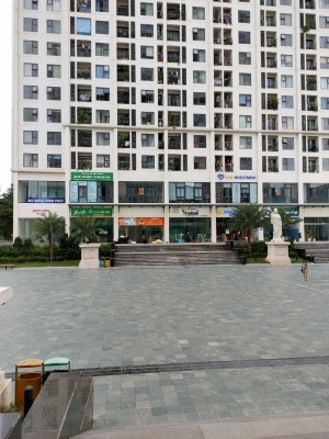 Tôi cần cho thuê mấy lô shophouse ở an bình city, 232 phạm văn đồng, hà nội